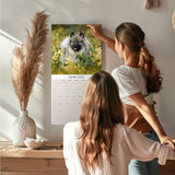 Keeshond Wall Calendar 2025