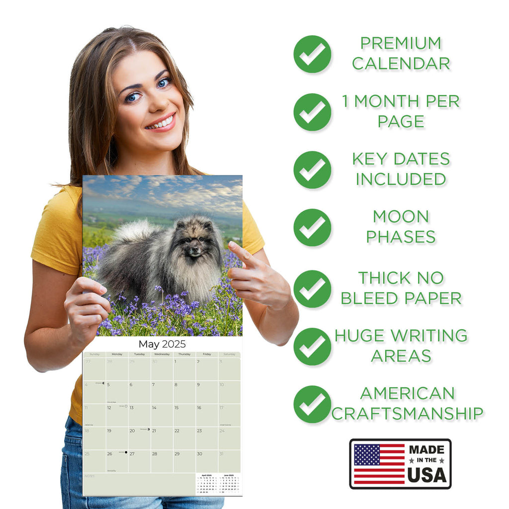 Keeshond Wall Calendar 2025
