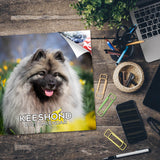 Keeshond Wall Calendar 2025