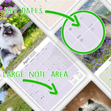 Keeshond Wall Calendar 2025