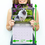 Keeshond Wall Calendar 2025