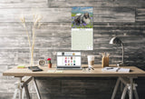 Keeshond Wall Calendar 2025
