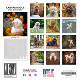 Labradoodle Wall Calendar 2025