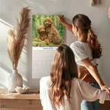 Labradoodle Wall Calendar 2025