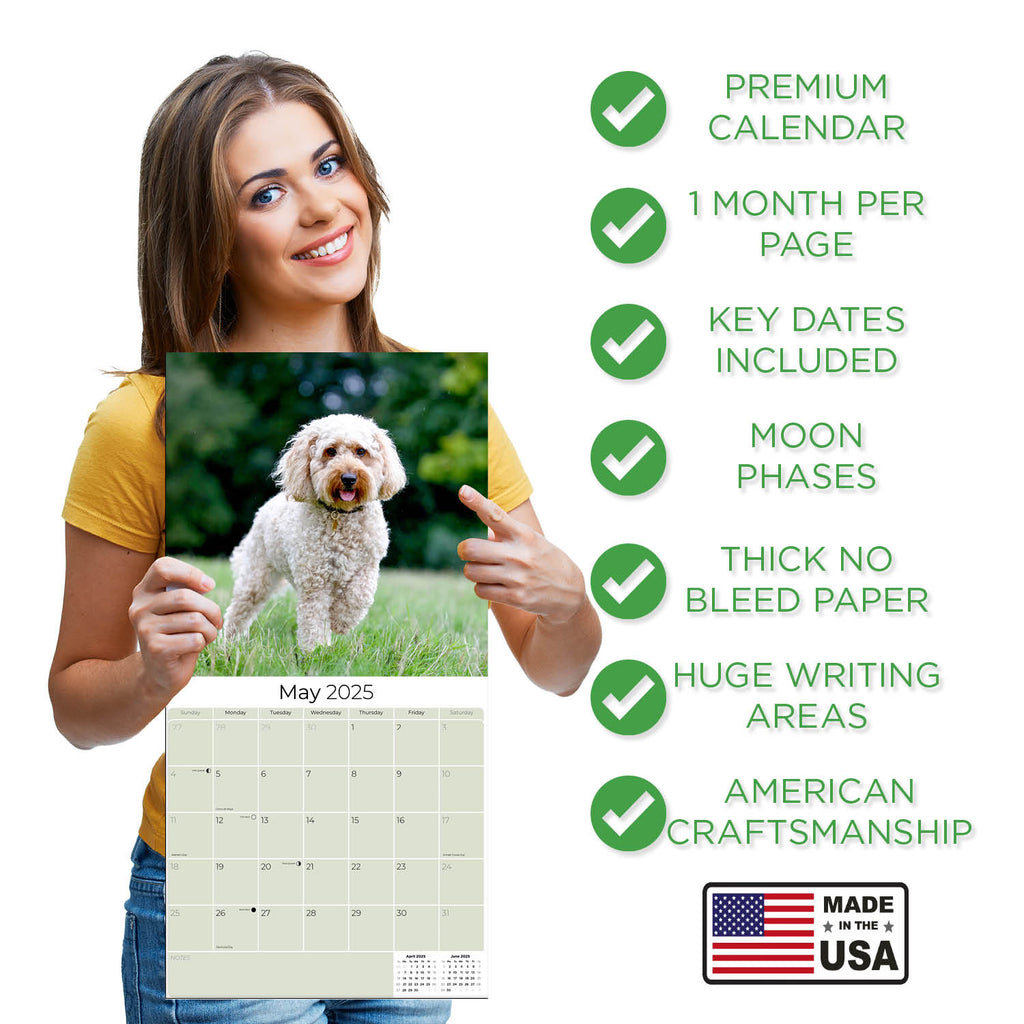 Labradoodle Wall Calendar 2025