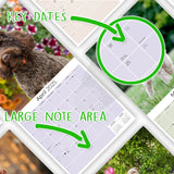 Labradoodle Wall Calendar 2025