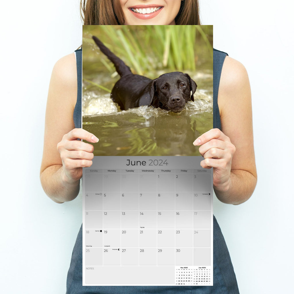 Black Labrador Retriever Wall Calendar 2024