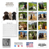 Labrador Ret (Mixed) Wall Calendar 2024