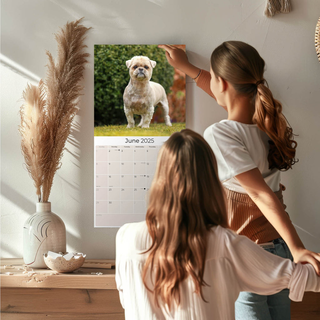 Lhasa Apso Wall Calendar 2025