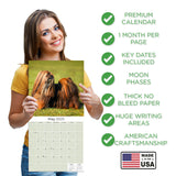Lhasa Apso Wall Calendar 2025