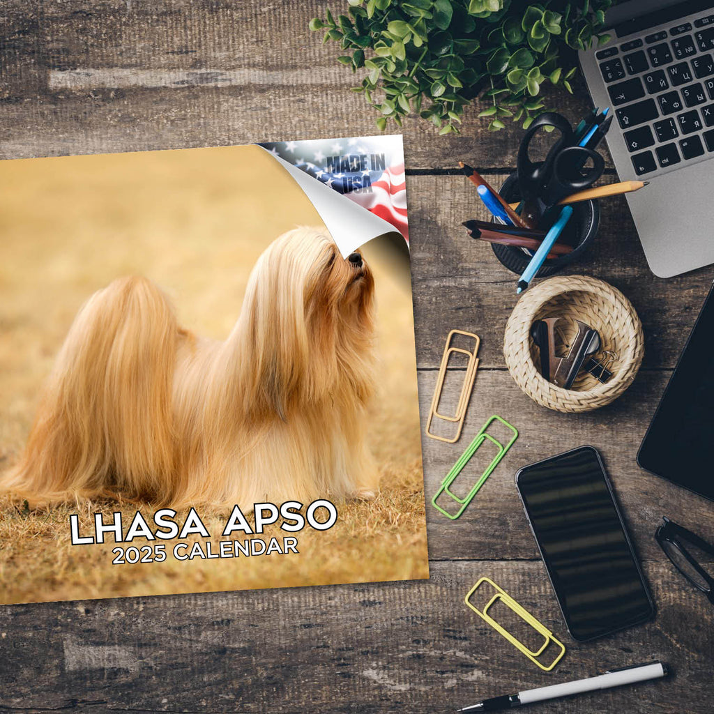 Lhasa Apso Wall Calendar 2025