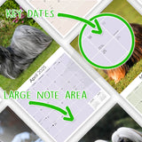 Lhasa Apso Wall Calendar 2025