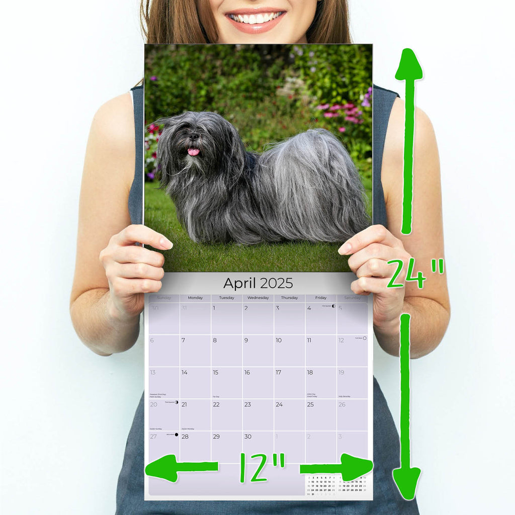Lhasa Apso Wall Calendar 2025