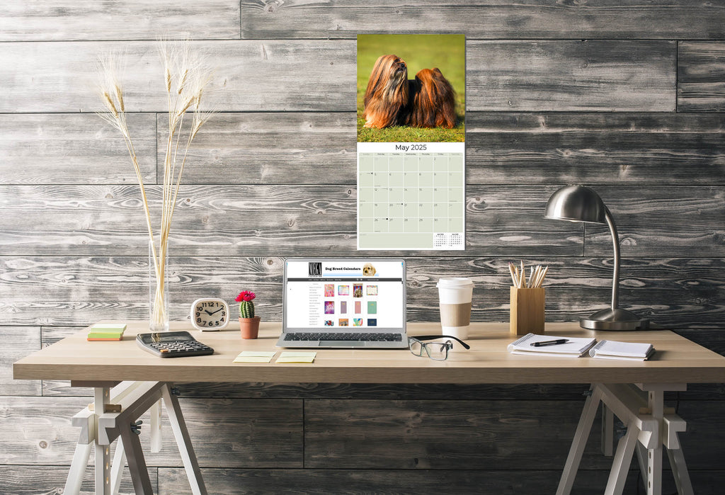 Lhasa Apso Wall Calendar 2025