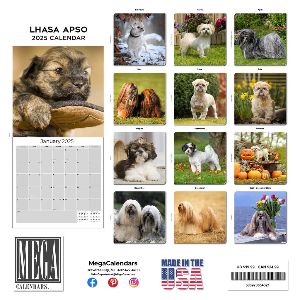 Lhasa Apso Wall Calendar 2025