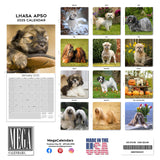 Lhasa Apso Wall Calendar 2025