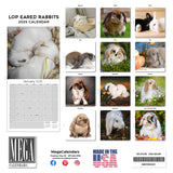 Lop Eared Rabbit Wall Calendar 2025