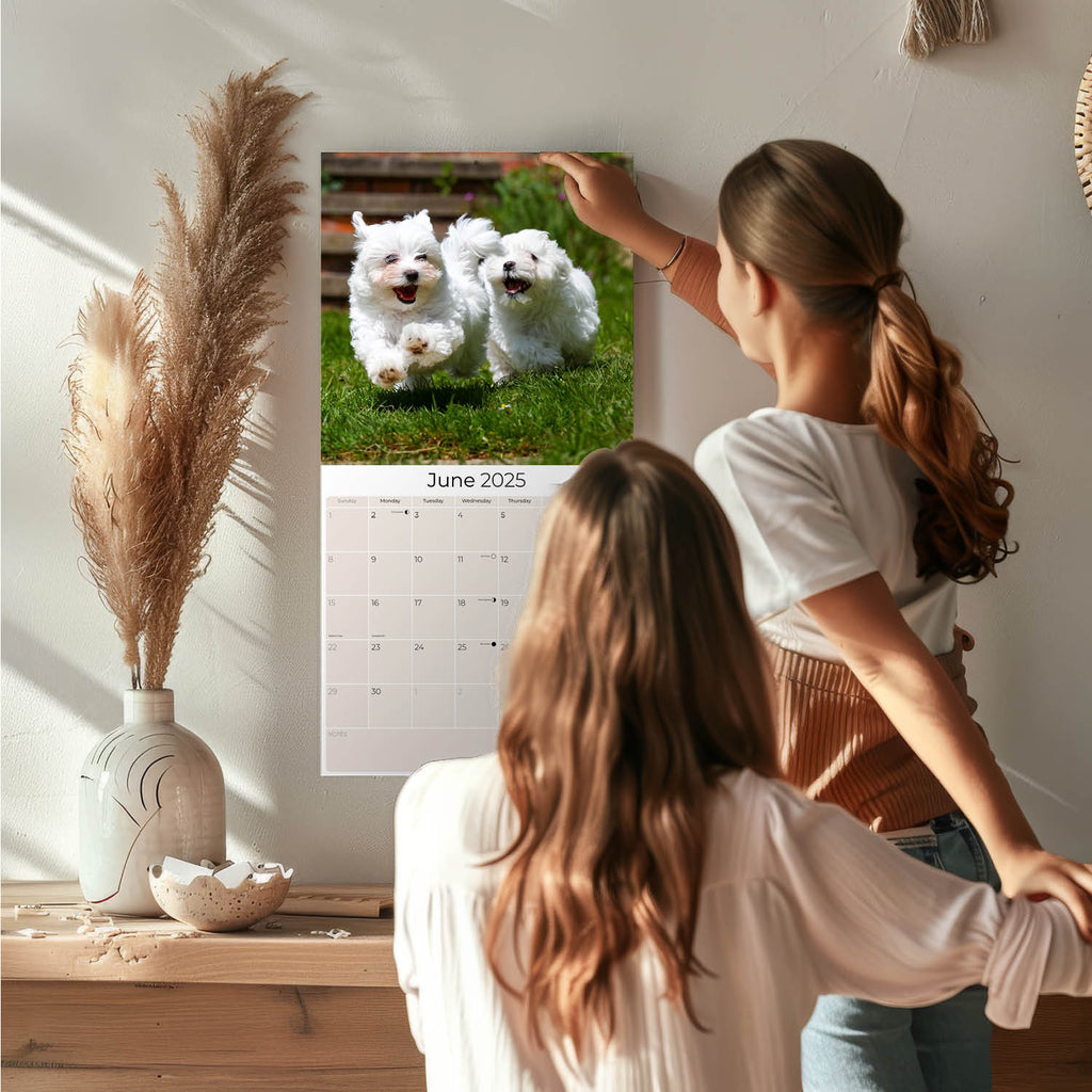 Maltese Wall Calendar 2025