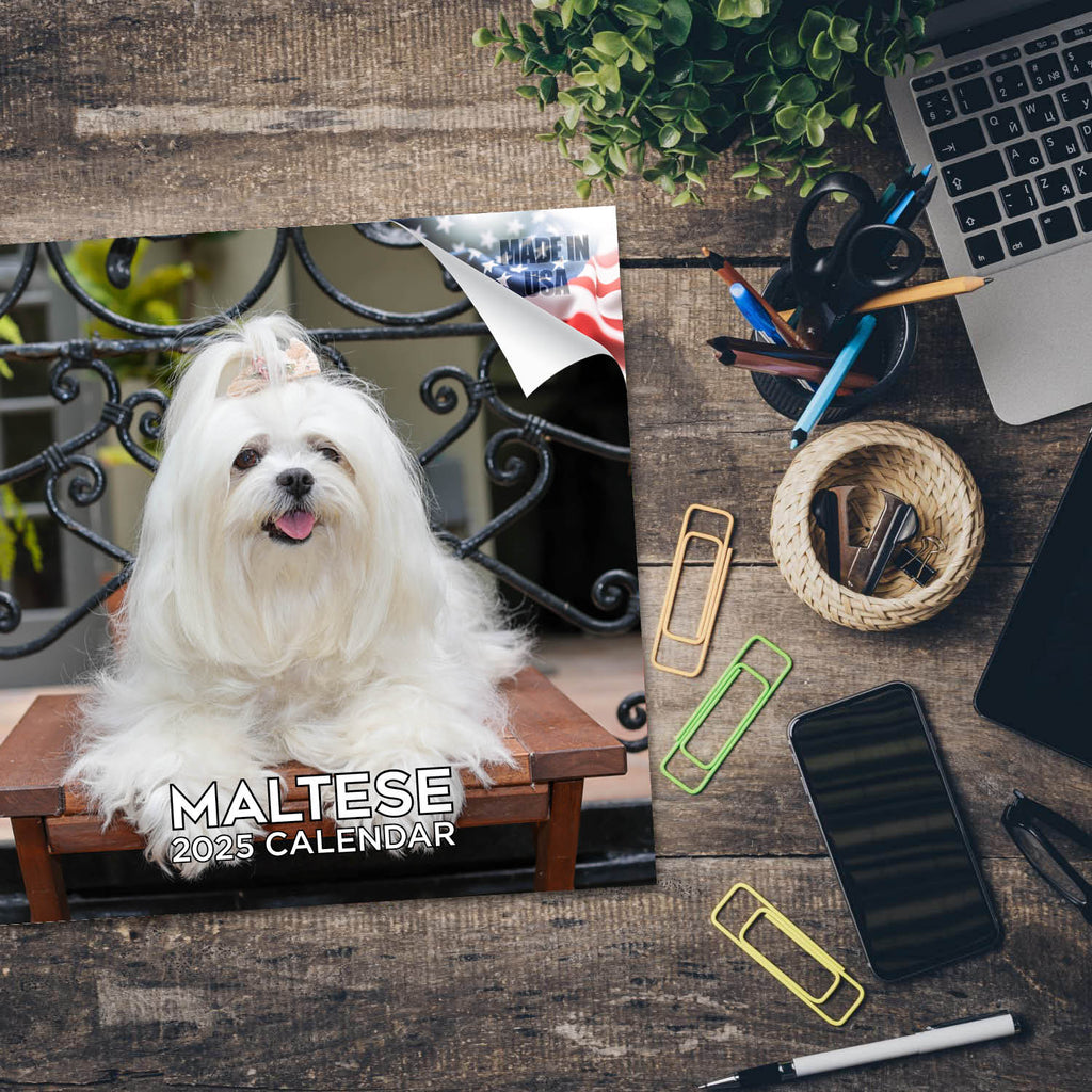 Maltese Wall Calendar 2025