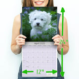 Maltese Wall Calendar 2025