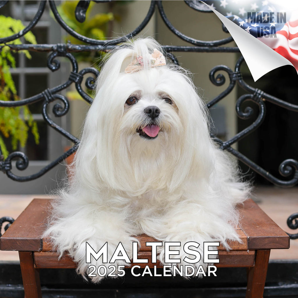 Maltese Wall Calendar 2025