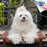 Maltese Wall Calendar 2025