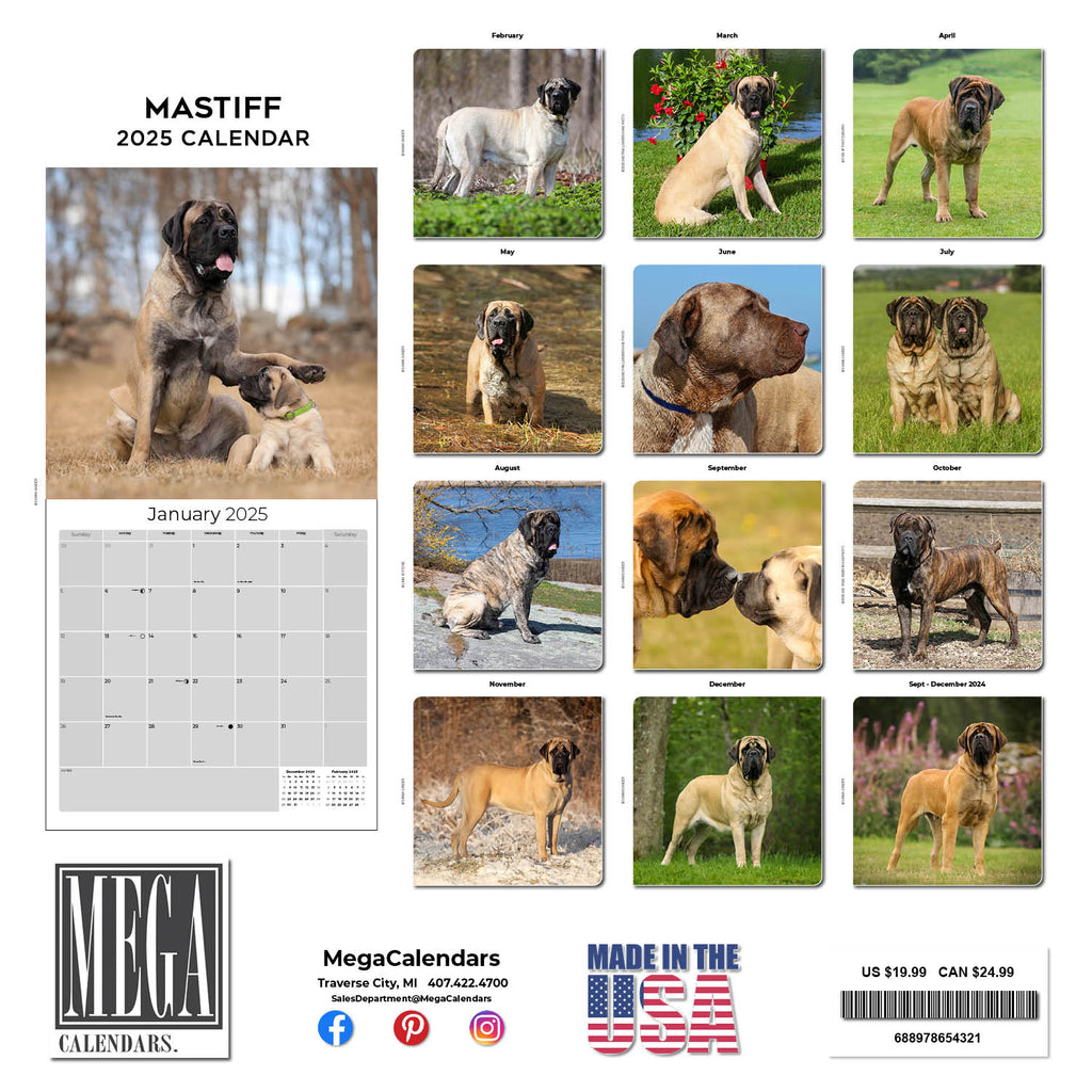 Mastiff Wall Calendar 2025