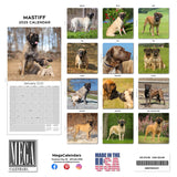 Mastiff Wall Calendar 2025