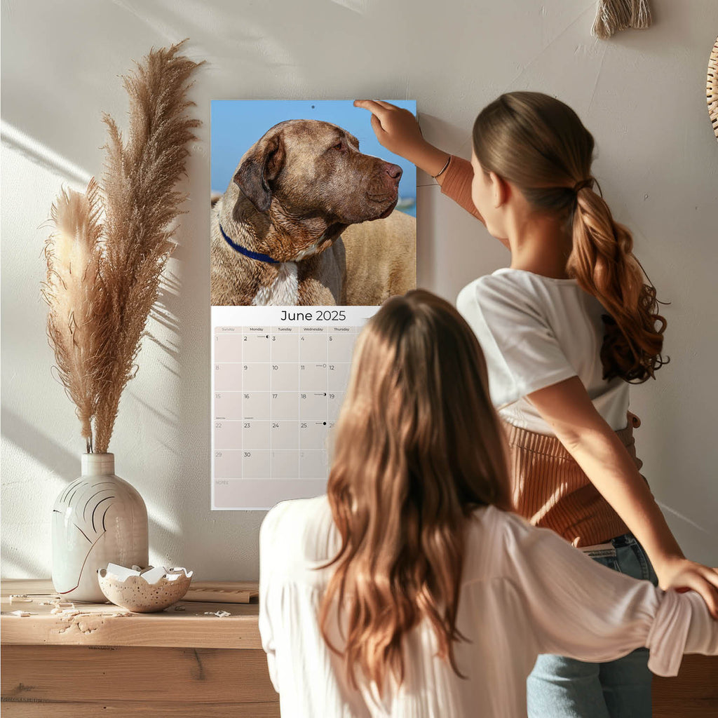 Mastiff Wall Calendar 2025