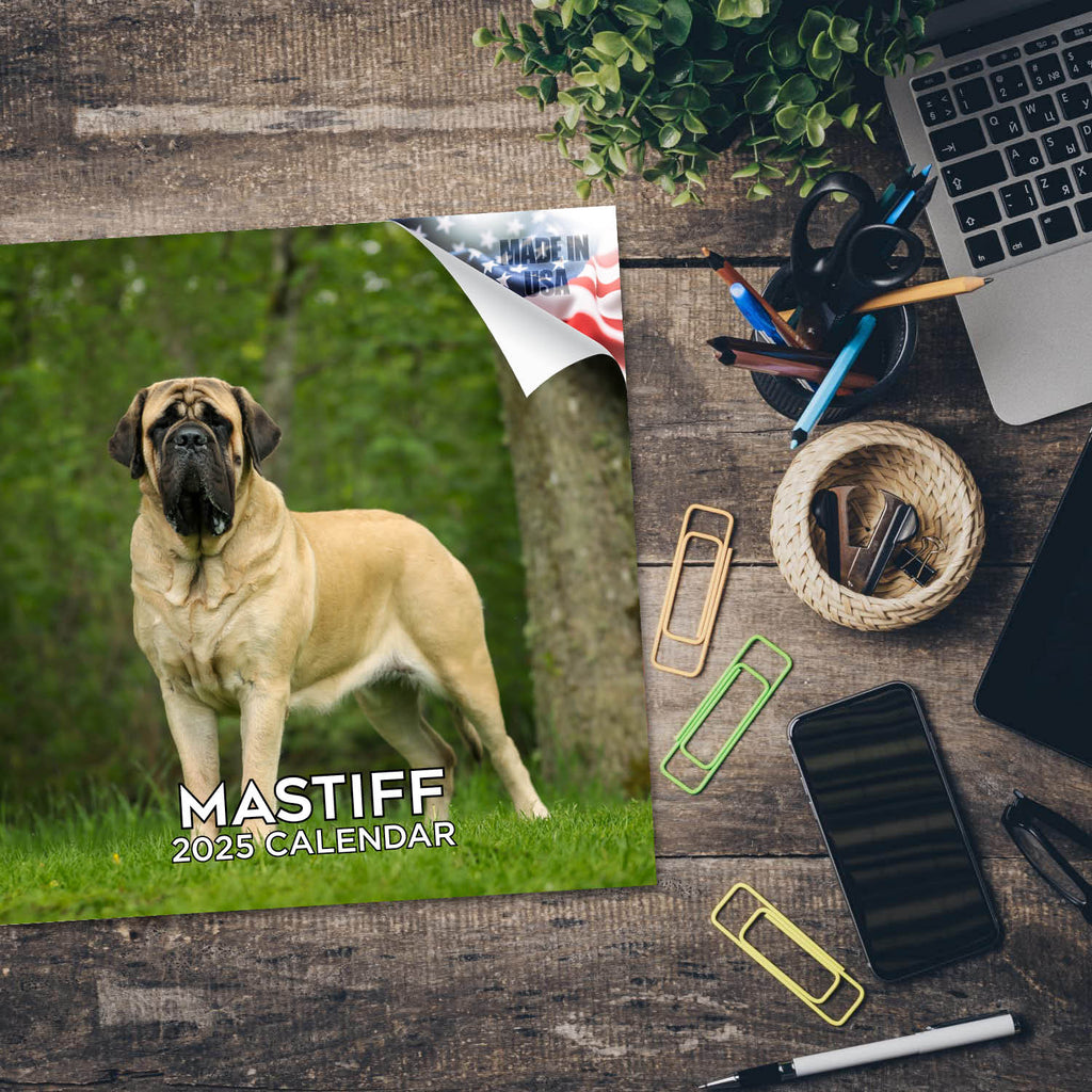 Mastiff Wall Calendar 2025