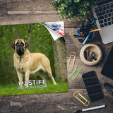 Mastiff Wall Calendar 2025