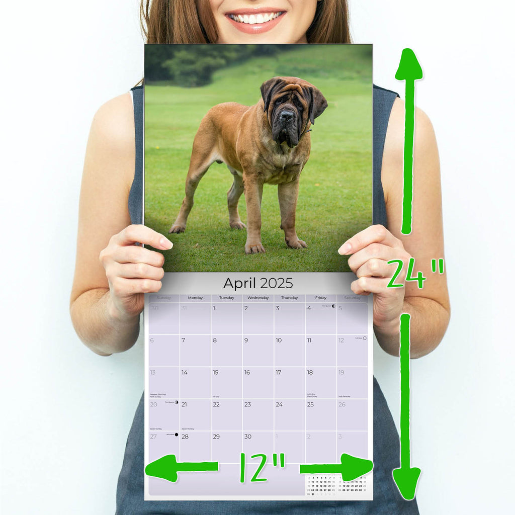 Mastiff Wall Calendar 2025