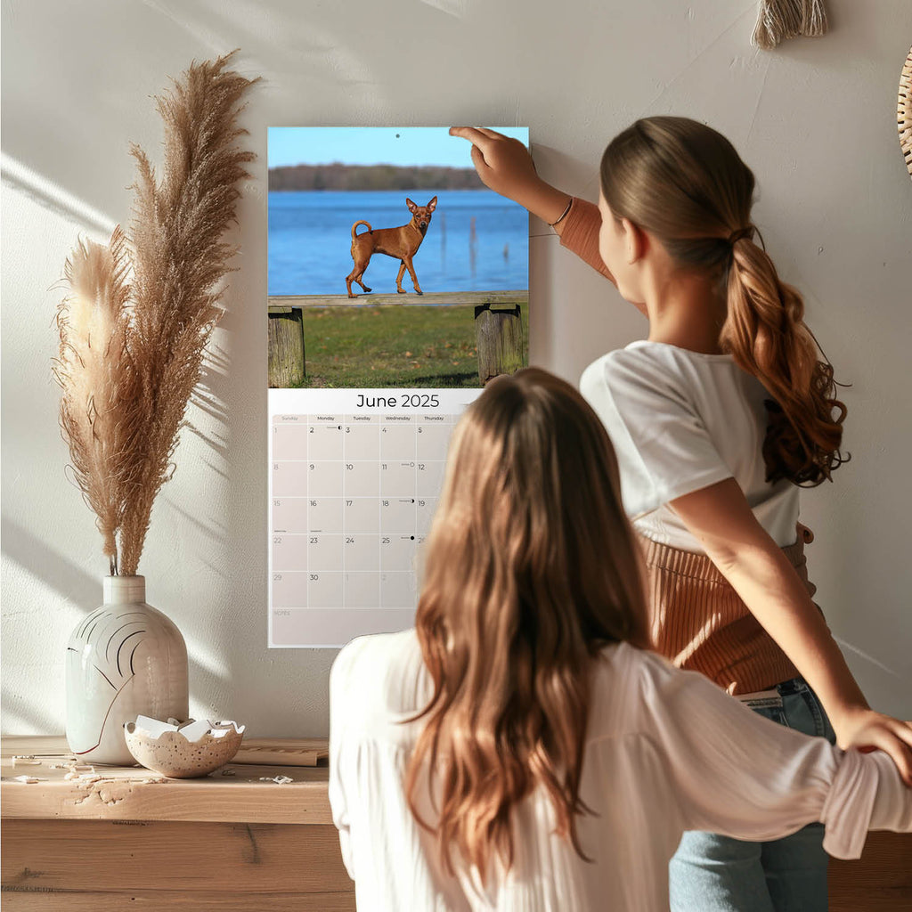 Miniature Pinscher Wall Calendar 2025