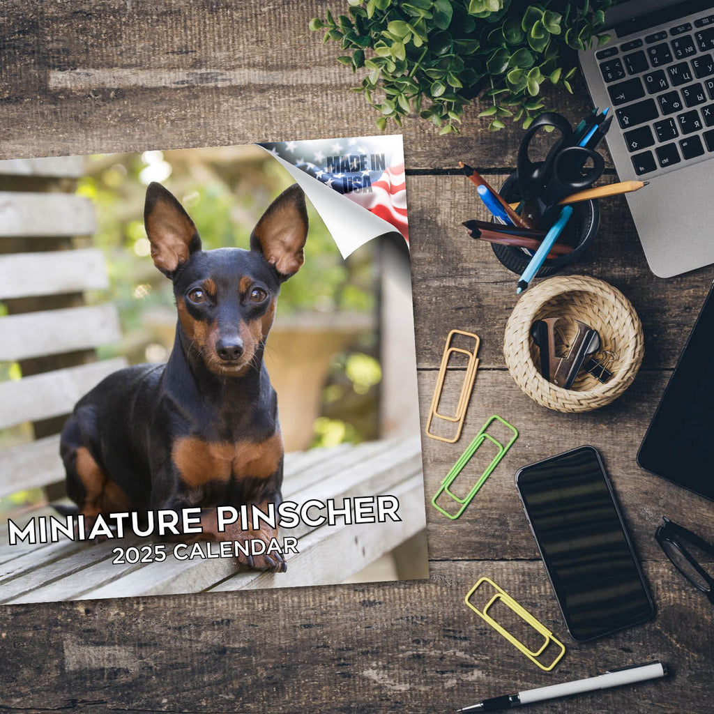 Miniature Pinscher Wall Calendar 2025