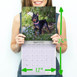 Miniature Pinscher Wall Calendar 2025