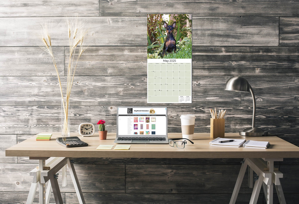 Miniature Pinscher Wall Calendar 2025