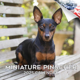 Miniature Pinscher Wall Calendar 2025