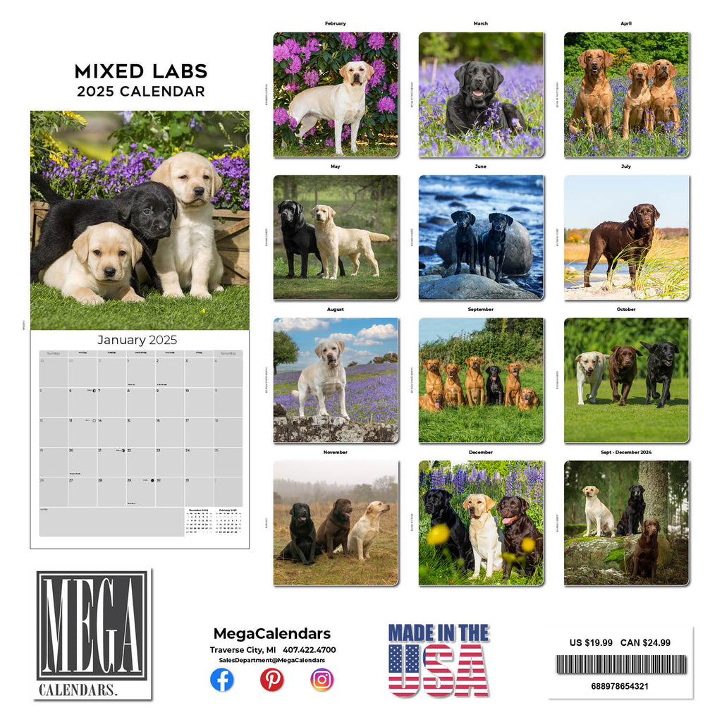 Labrador Ret (Mixed) Wall Calendar 2025