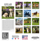 Labrador Ret (Mixed) Wall Calendar 2025