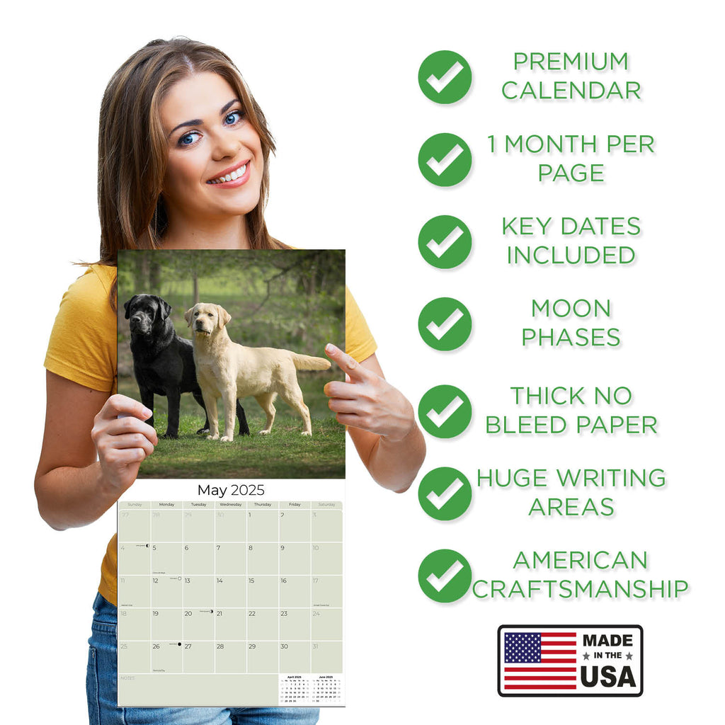 Labrador Ret (Mixed) Wall Calendar 2025