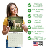 Labrador Ret (Mixed) Wall Calendar 2025