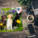 Labrador Ret (Mixed) Wall Calendar 2025