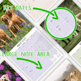 Labrador Ret (Mixed) Wall Calendar 2025