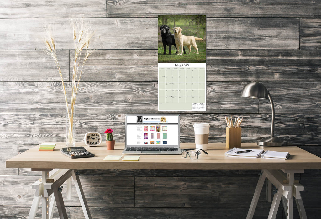 Labrador Ret (Mixed) Wall Calendar 2025