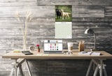 Labrador Ret (Mixed) Wall Calendar 2025