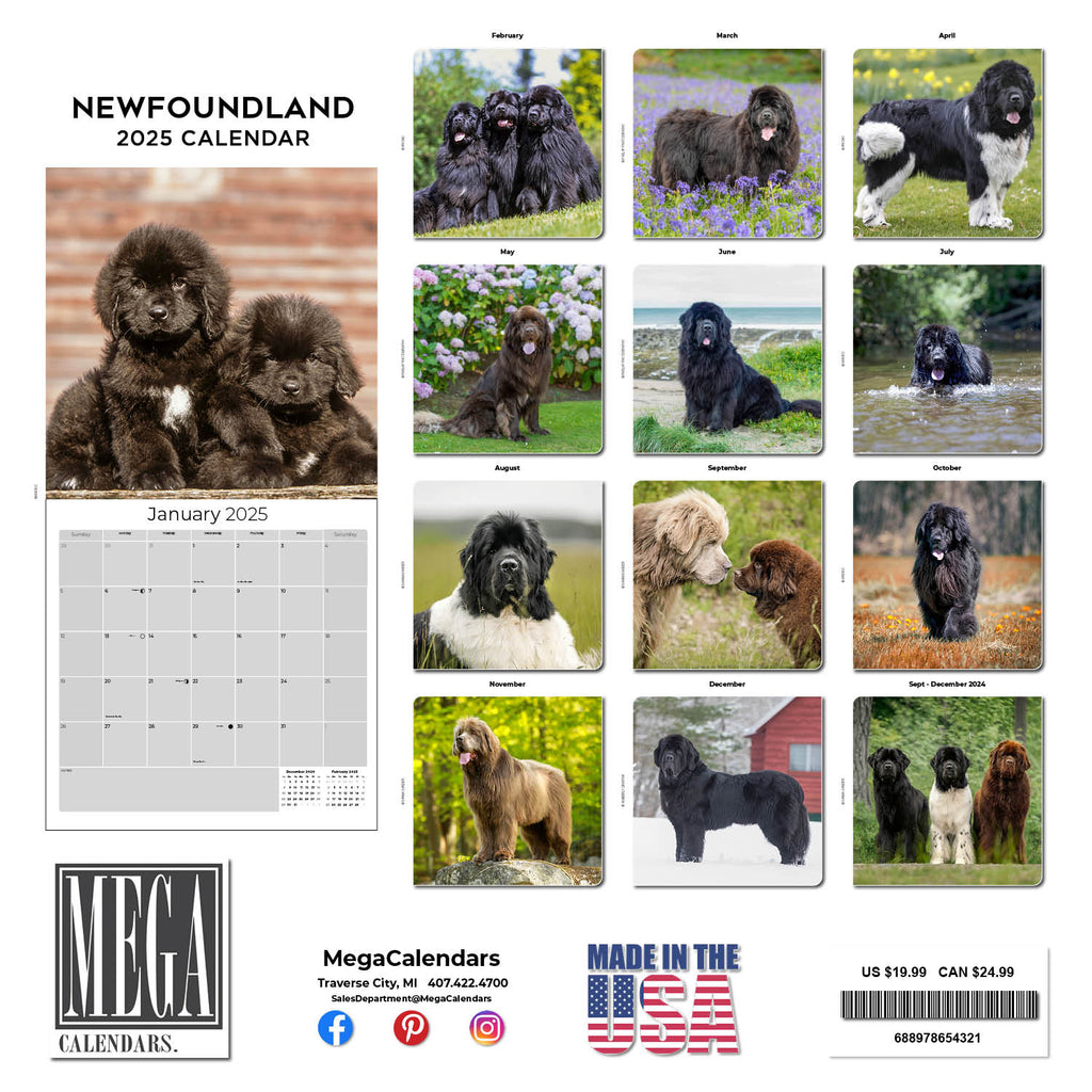 Newfoundland Wall Calendar 2025