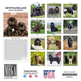 Newfoundland Wall Calendar 2025