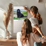 Newfoundland Wall Calendar 2025
