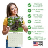 Newfoundland Wall Calendar 2025