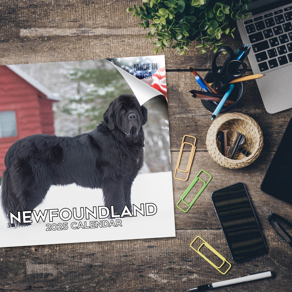 Newfoundland Wall Calendar 2025